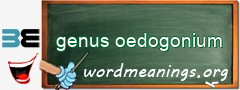 WordMeaning blackboard for genus oedogonium